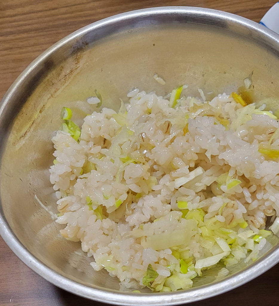 2025-03-16_03-03_ねぎごはん
